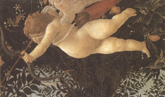 Sandro Botticelli primavera (mk36) Norge oil painting art